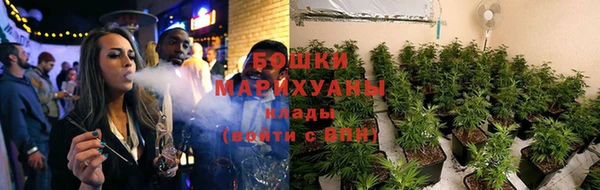 СК Зеленодольск