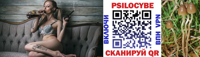 Псилоцибиновые грибы прущие грибы  цена   mega ONION  Шелехов 